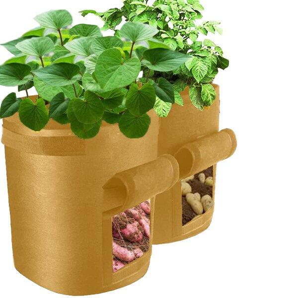2023 Fruits Vegetables Planting bag