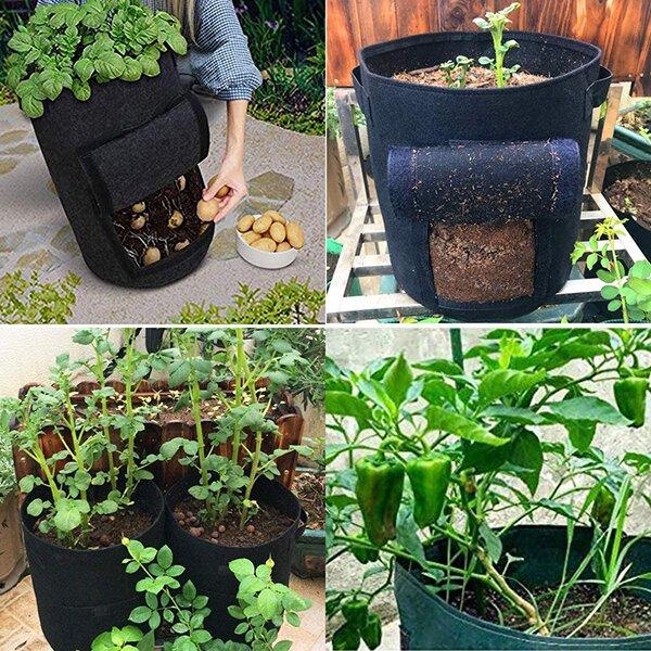 2023 Fruits Vegetables Planting bag