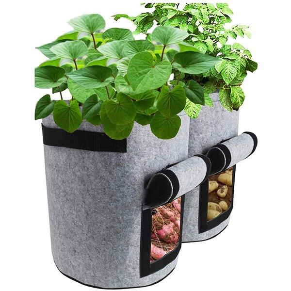 2023 Fruits Vegetables Planting bag