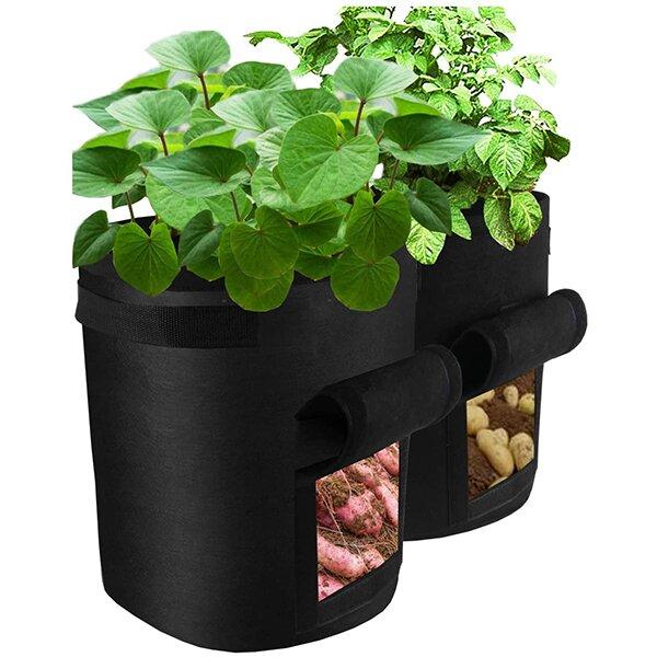 2023 Fruits Vegetables Planting bag