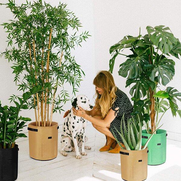 2023 Fruits Vegetables Planting bag