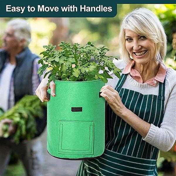 2023 Fruits Vegetables Planting bag