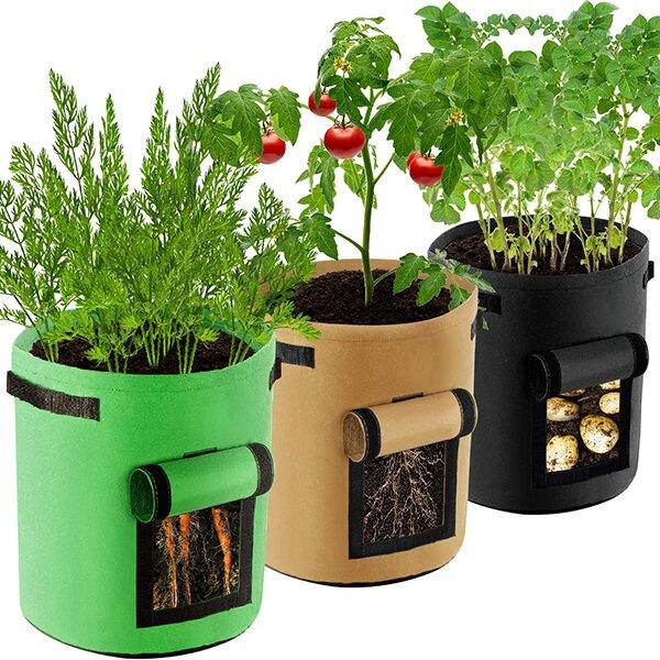 2023 Fruits Vegetables Planting bag
