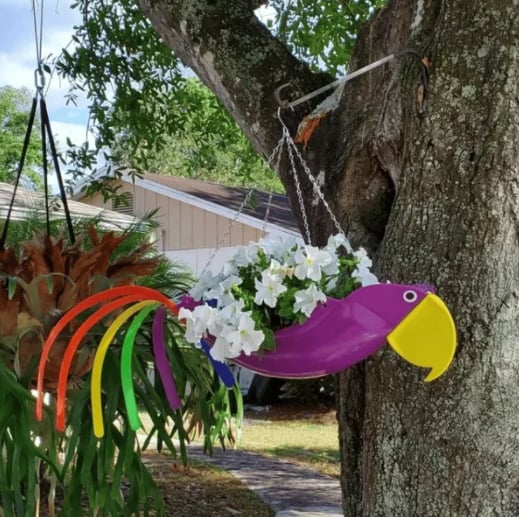 Colorful bird hanging planter