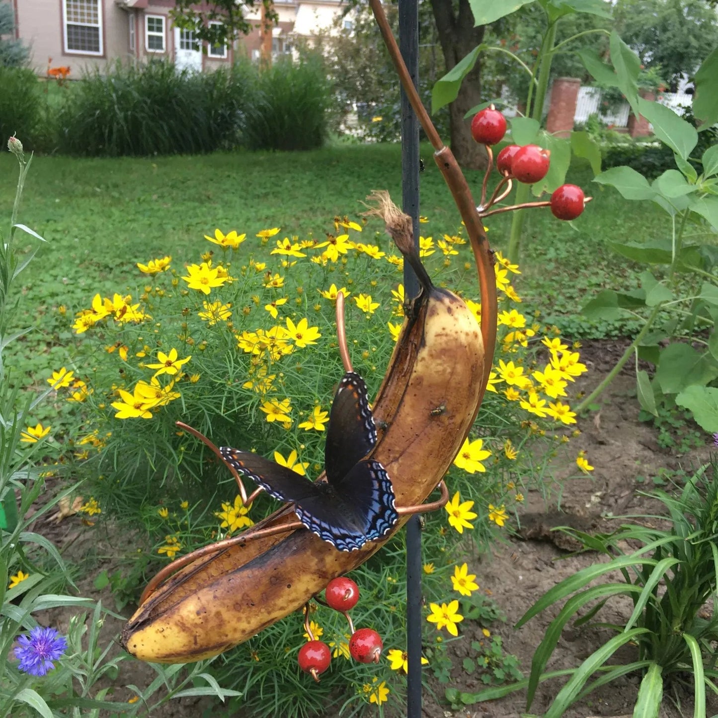 Butterfly Banana Hammock-Butterfly Feeder