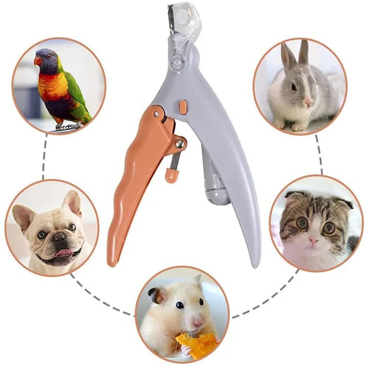 🔥Summer Hot Sale Promotion-49% OFF🐶-Professional LED Pet Nail Clippers